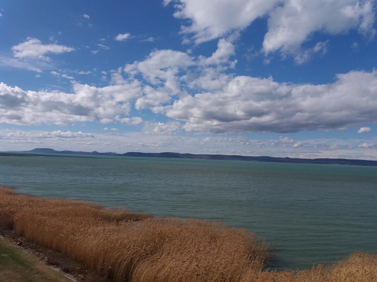 Hotel Otp Balatonszárszó 外观 照片